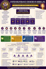 National Organizational Structure